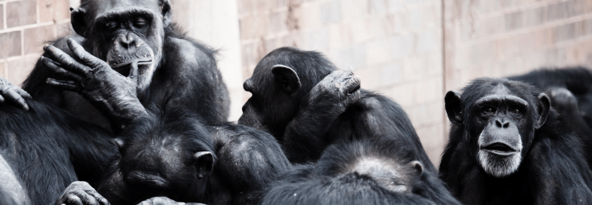 Azure API Management Consumption&nbsp;Tier